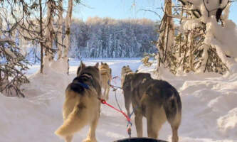 Snowhook Dog Sledding PSX 20240905 201246