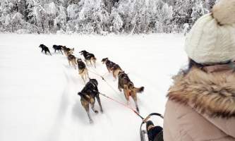Snowhook adventure guides of alaska dog sledding tours PSX 20190123 234635