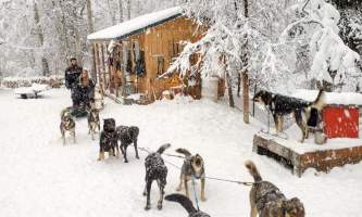 Snowhook adventure guides of alaska dog sledding tours PSX 20191119 125551