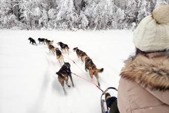 Snowhook adventure guides of alaska dog sledding tours PSX 20190123 234635