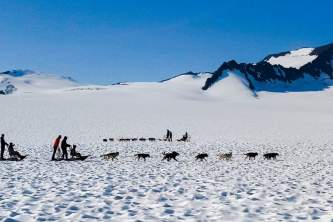 Snowhook adventure guides of alaska dog sledding tours PSX 20190706 101638