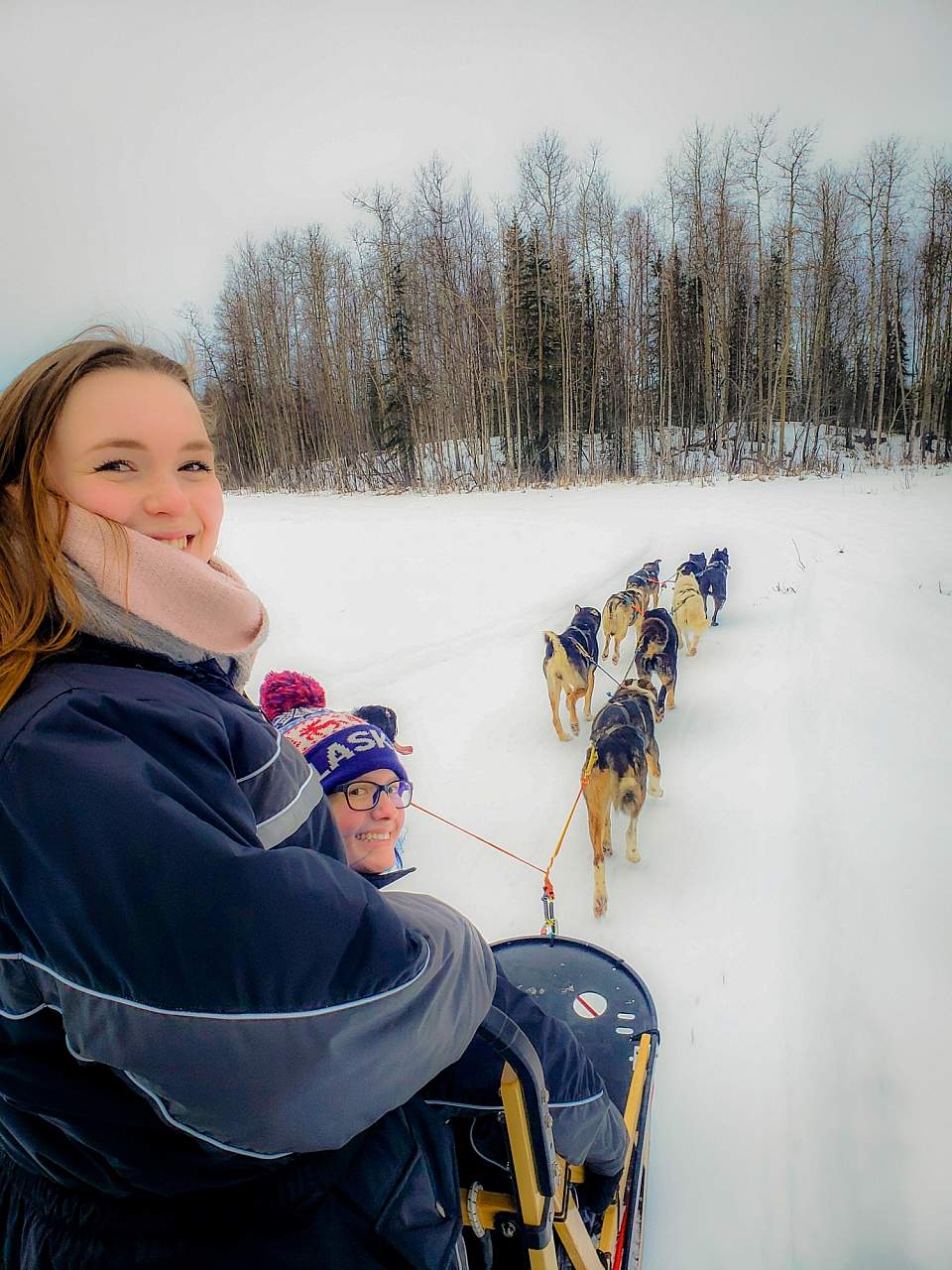 Two visitors try out driving a team of sled dogs through the snow.