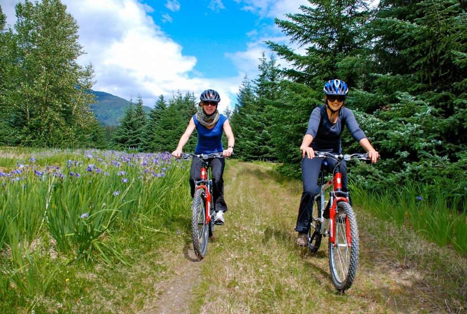 Two cyclists bike down an Alaskan wilderness trail.