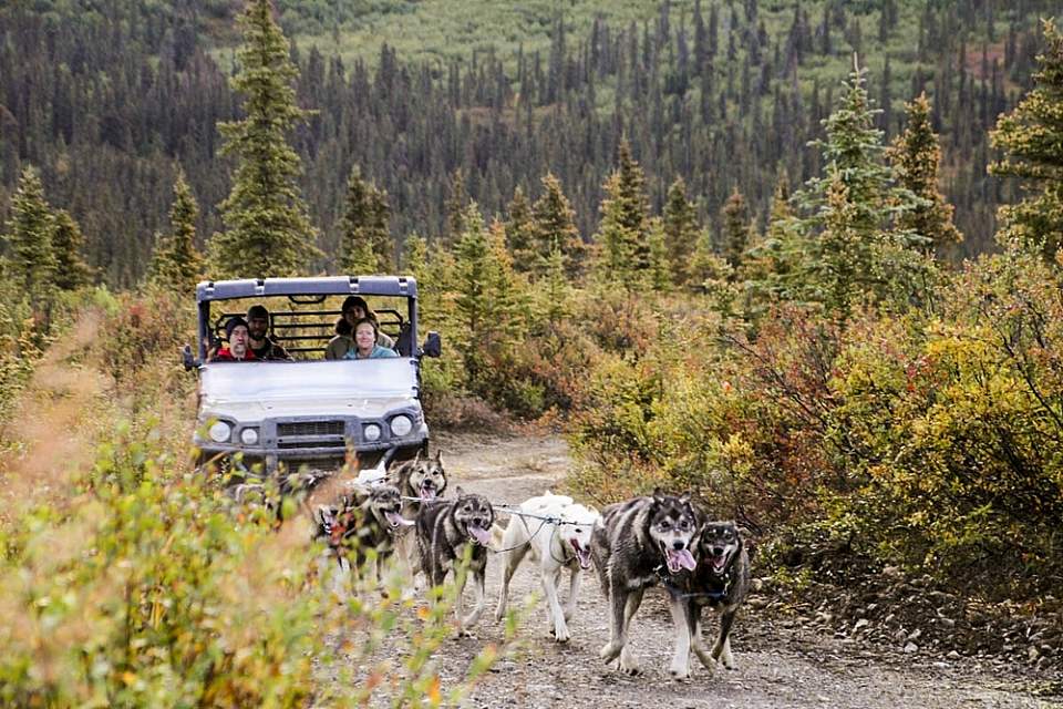 Private Tours in the summer and winter about a 30-minute drive south of Denali National Park