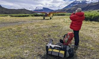 Backpackers take a photo of their bush plane pick up Anya Voskresensky