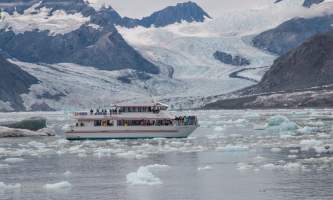 Colleen Stephens MG 6817 alaska valdez stan stephens glacier wildlife cruises