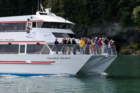 Best Whale Watching in Juneau, Alaska: When and How to See Whales -  Thrillist