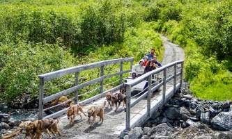 Girdwood Summer Sled Dog Adventure | Kennel Tour & Cart… | ALASKA.ORG