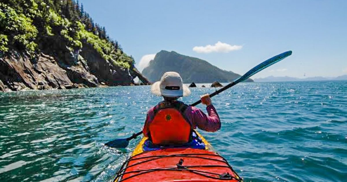 Sunny Cove Kayaking See Glaciers Wildlife By Kayak Alaska Org