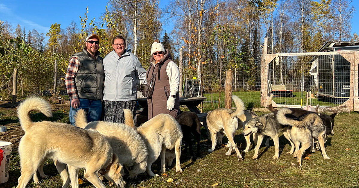 Talkeetna Dog Sledding