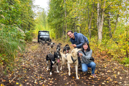 Susitna Sled Dog Adventures