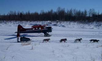 Talkeetna air taxi 7