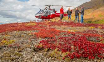Alaska temsco denali hike Tundra 5878 Copyright Ron Gile 2015 TEMSCO Helicopters Denali Heli Hike