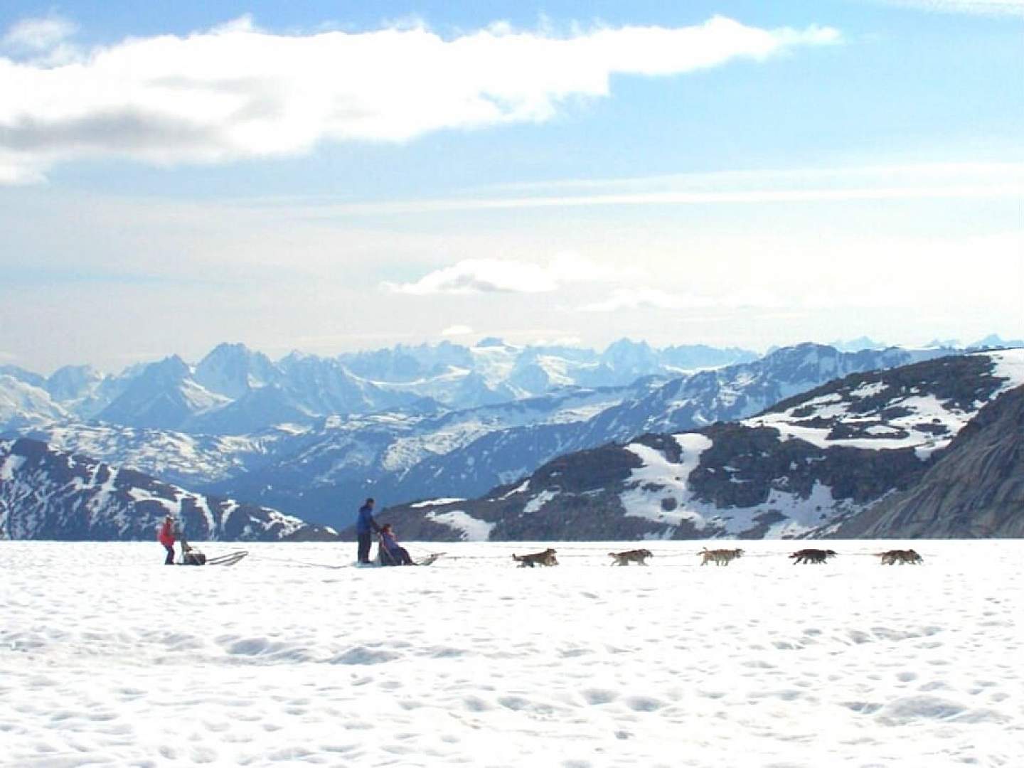 Dog Sledding with TEMSCO Helicopters