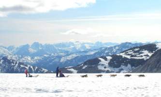 Alaska temsco mendenhall dog sledding Cover photo edited TEMSCO Mendenhall Dog Sledding