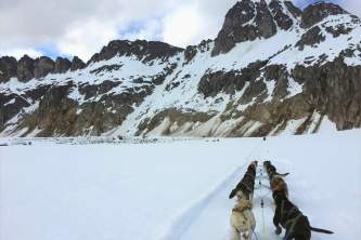 Alaska temsco mendenhall dog sledding View on Dog Sled Edited 1 TEMSCO Mendenhall Dog Sledding