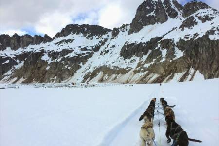 TEMSCO Mendenhall Dog Sledding