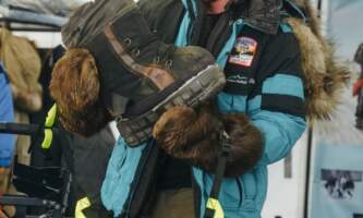 Temsco skagway glacier dogsled experience 5