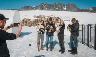 Temsco skagway glacier dogsled experience 9