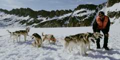TEMSCO Skagway Dog Sledding and Glacier Flightseeing by Helicopter