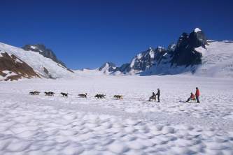 Alaska temsco skagway dog sledding glacier flightseeing by helicopter Dogsled 1 team 1 ICED TEMSCO Skagway Dog Sledding and Glacier Flightseeing