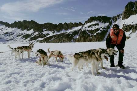 Dog Sledding In Alaska, Experience Mushing Like An…