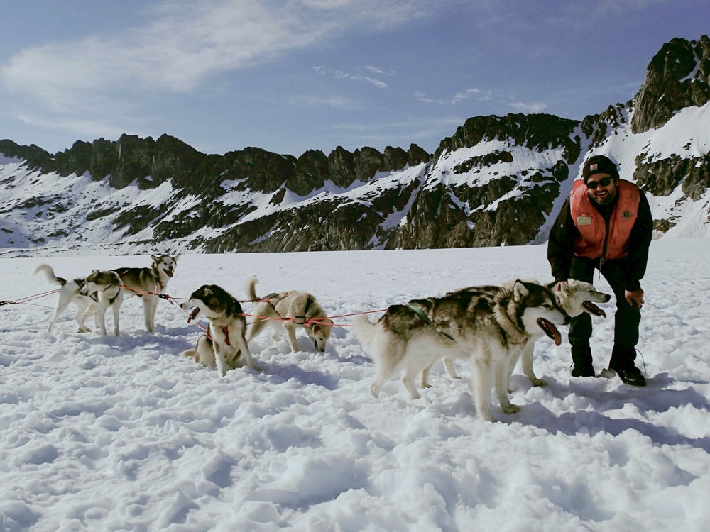 TEMSCO Skagway Glacier Sled Dog Experience | ALASKA.ORG