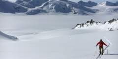Tok Air Service Backcountry Skiing