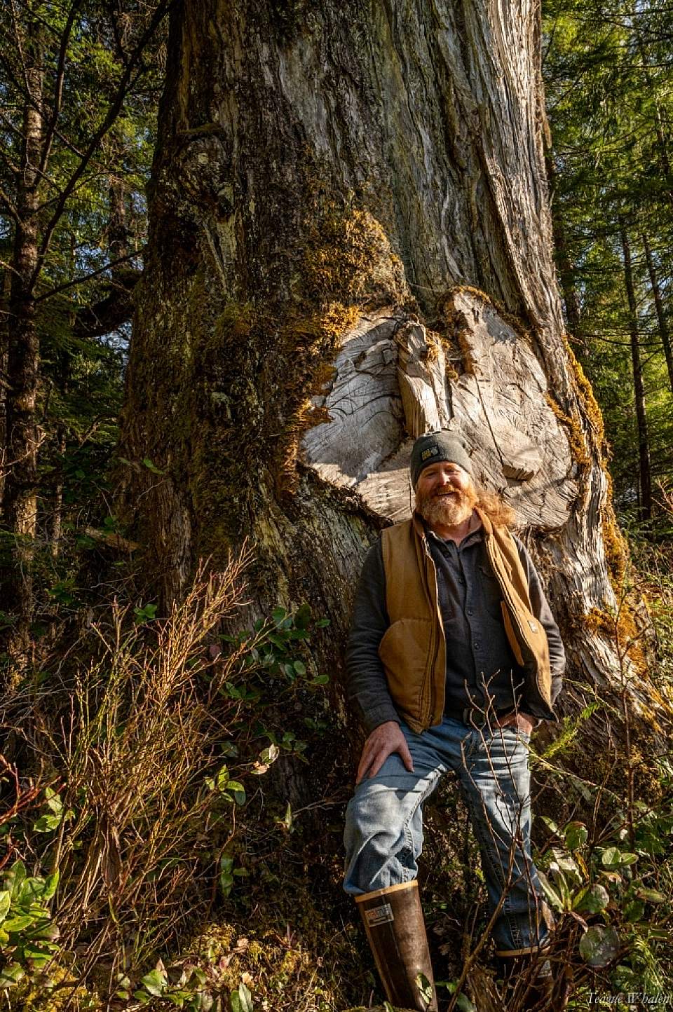 Owner/operator Teague Whalen stands in the Tongass National Forest at the base of an old-growth western red cedar that is several hundreds of years old.