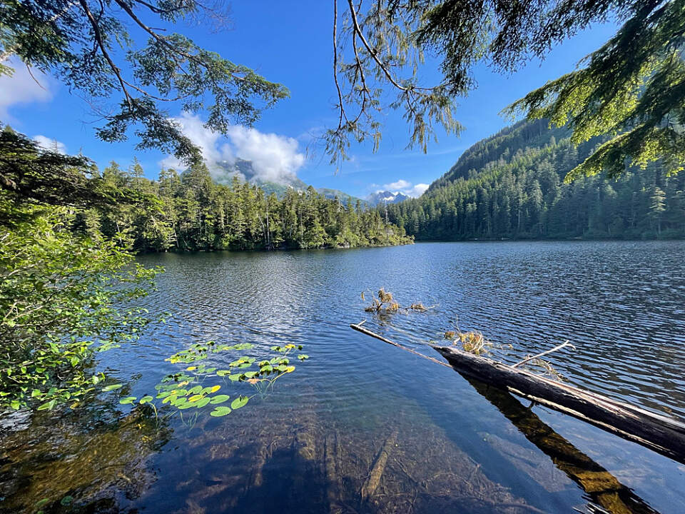 Join Tongass Treks for an unforgettable hike to Sea Lion Cove, starting with a scenic boat ride and ending with stunning coastal views.