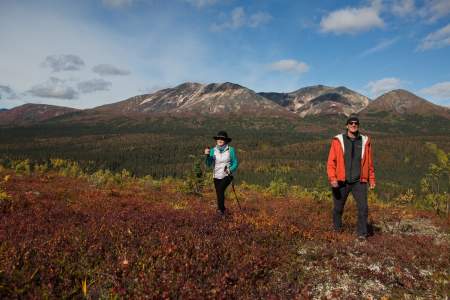 Denali National Park Guided Hiking Scenic Hiking ALASKA.ORG