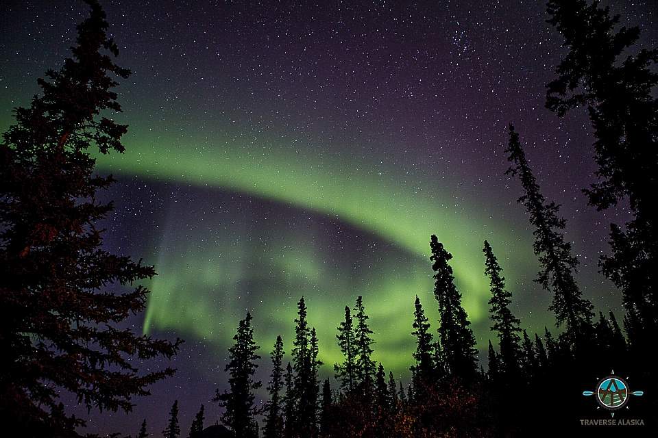 Vibrant green Northern Lights