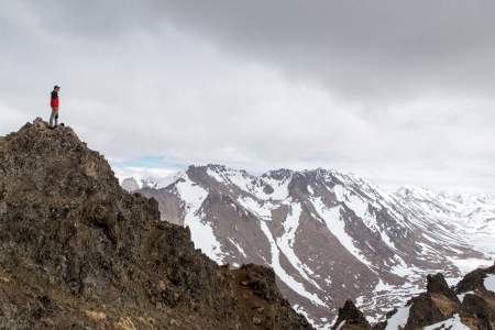 Traverse Alaska Anchorage Trips