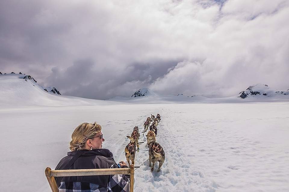 Sled dogs mushing through the snow.