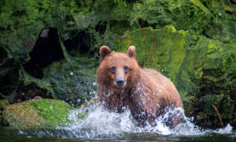 Wild coast excursions 1