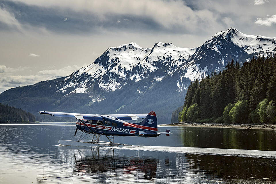 Fly from Juneau by seaplane, landing directly where the bears roam, and discover Alaska’s majestic wildlife through the expert eyes of local guides.