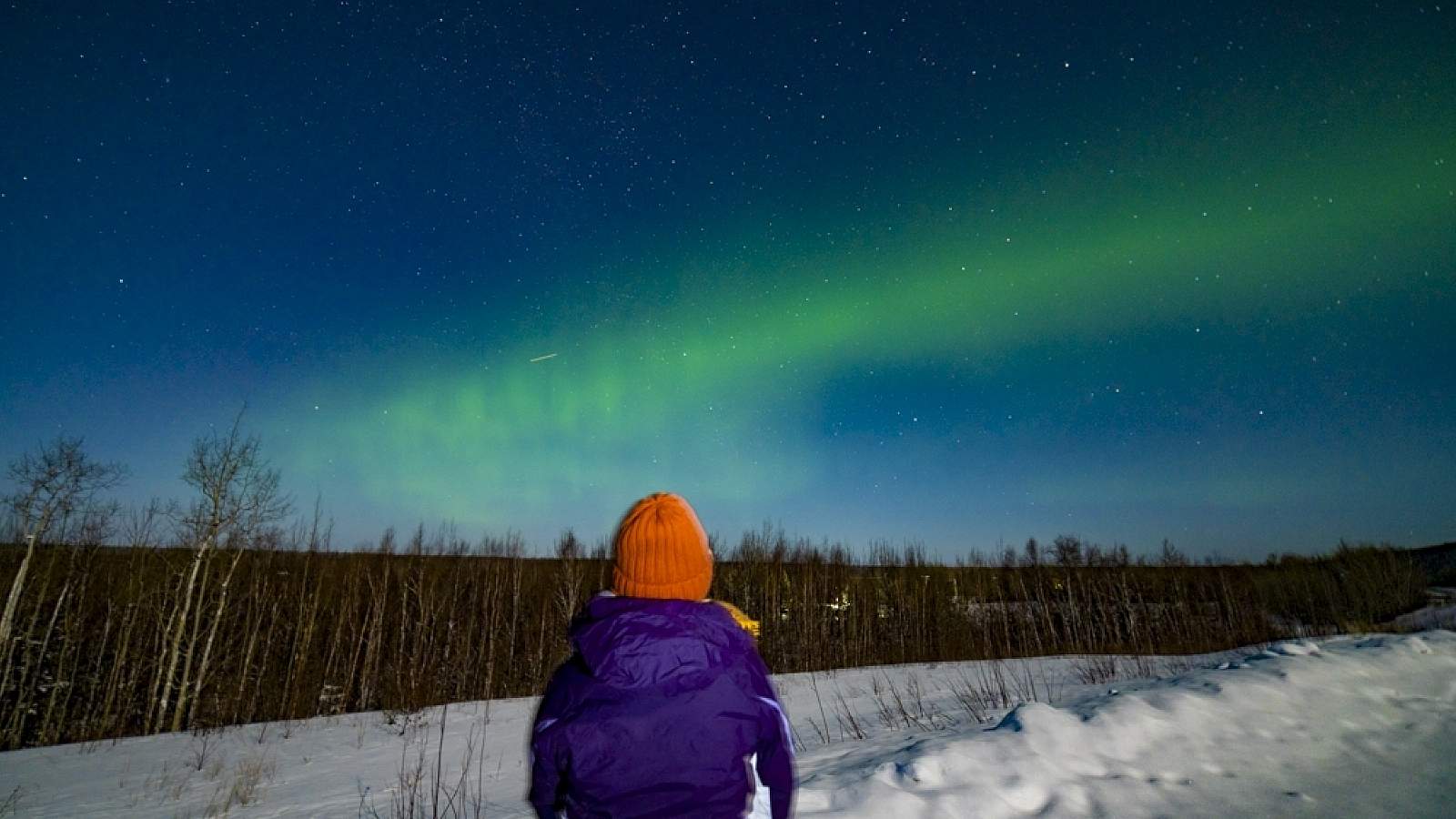 Wild Journeys Alaska Northern Lights Tours Anchorage,…