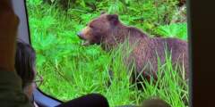 Wilderness Island Tours