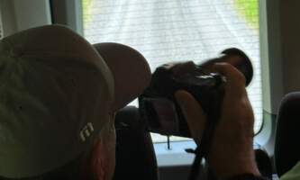 Wilderness island tour bears 2025 5