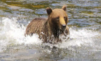 Wilderness Island Tours 2023 09 20 John Hillman