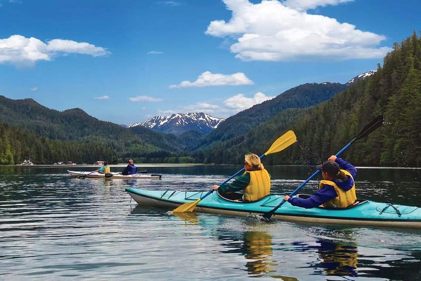 Sightseeing by Kayak with Wilderness Sea Kayaking