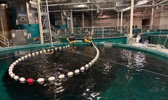 William jack hernandez sport fish hatchery alaska 9
