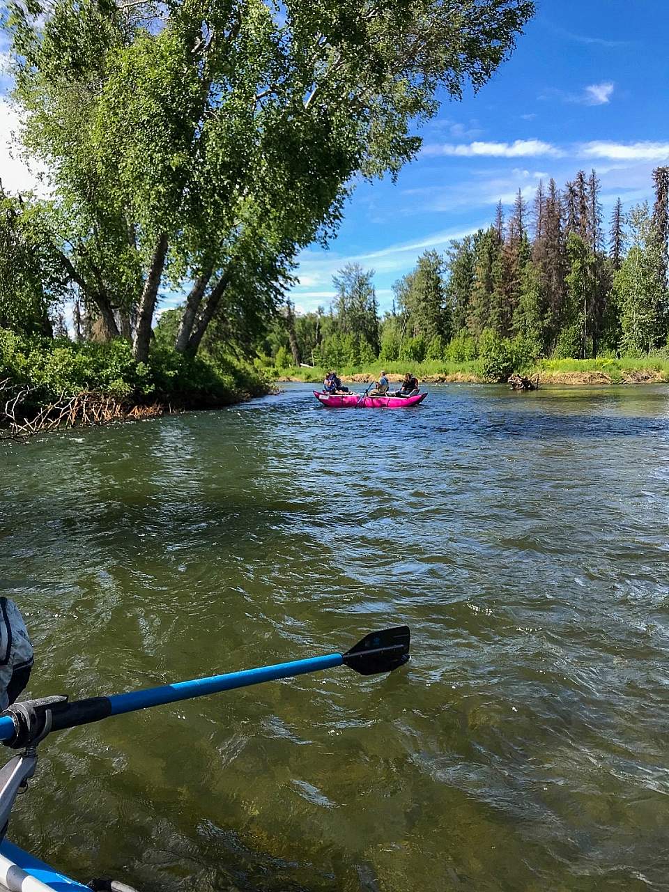 Rafts floating down a river on a sunny day.