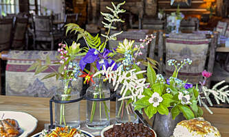 Taku Glacier Ldg Wings Airways IMG 4244 Holly