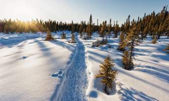 HQ Winter Lisa Hupp USFWS alaska untitled