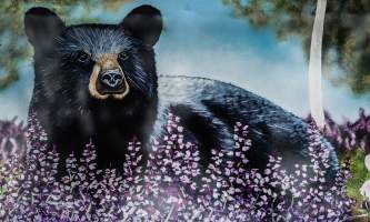 Blue Bear 7290620 alaska untitled