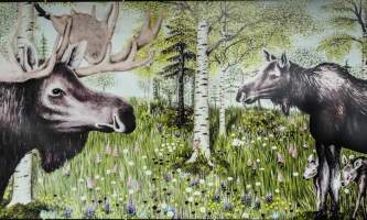 Moose Meadow 7290625 alaska untitled
