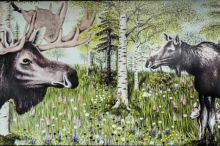 “Moose Meadow” by Abigail Ward