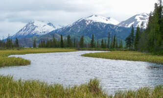 Hidden Creek Trail Hidden Creek Trailalaska org alaska salmon viewing