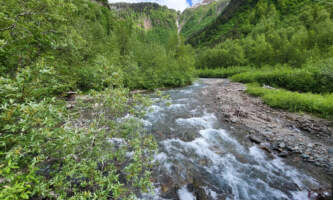 Quartz creek salmon viewing spotsalaska org alaska salmon viewing